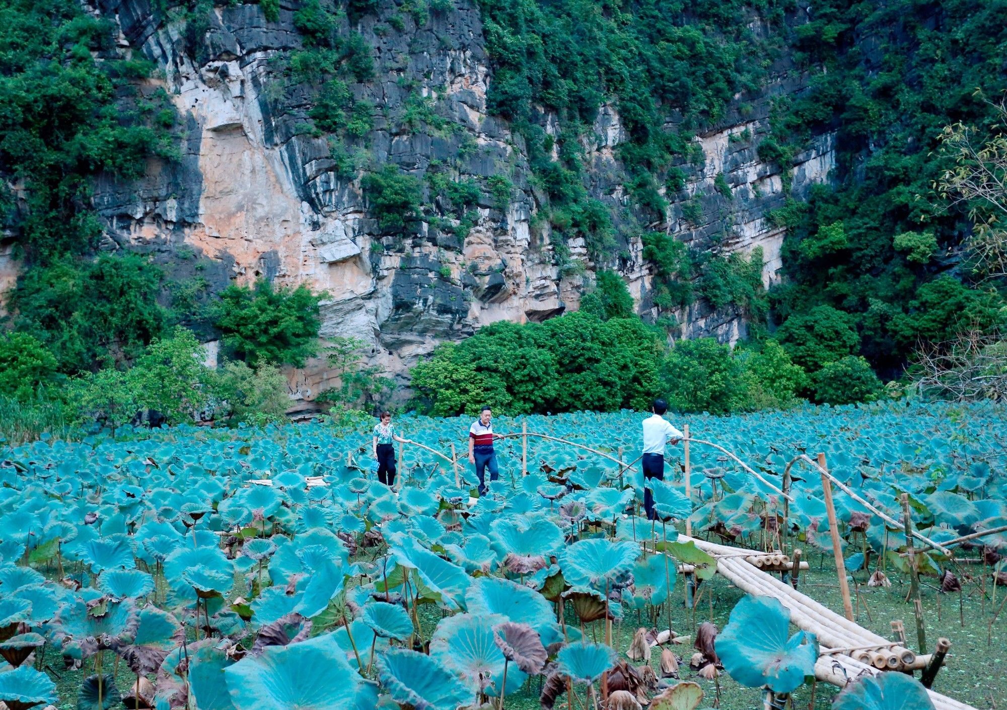 Trang An Heritage Garden Ninh Binh Eksteriør billede